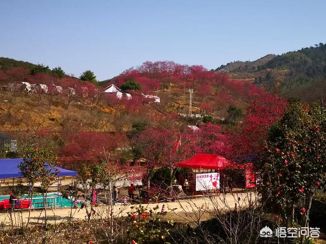 在網(wǎng)上曬旅游圖片，分享旅游經(jīng)歷，有網(wǎng)友回復(fù)說(shuō)：真有錢！對(duì)于這個(gè)問(wèn)題你怎么看？